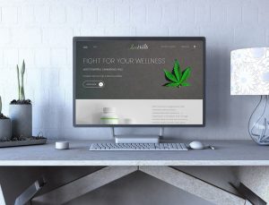 Portfolio - Jane Walnis